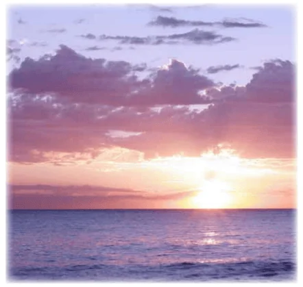 Compressed Air Filters Compressed Air Filters